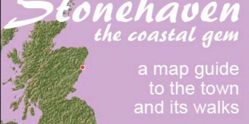 SBA 2020 map cover2