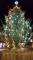 stoney tree